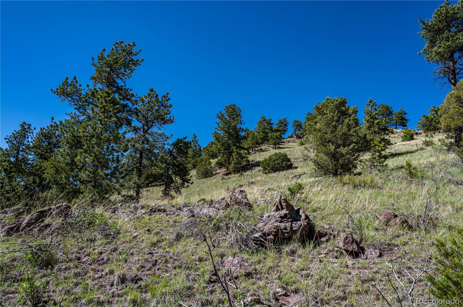 2099 Julia Road Guffey, CO 80820 - Photo 20 of 35 a backyard of a house with a yard