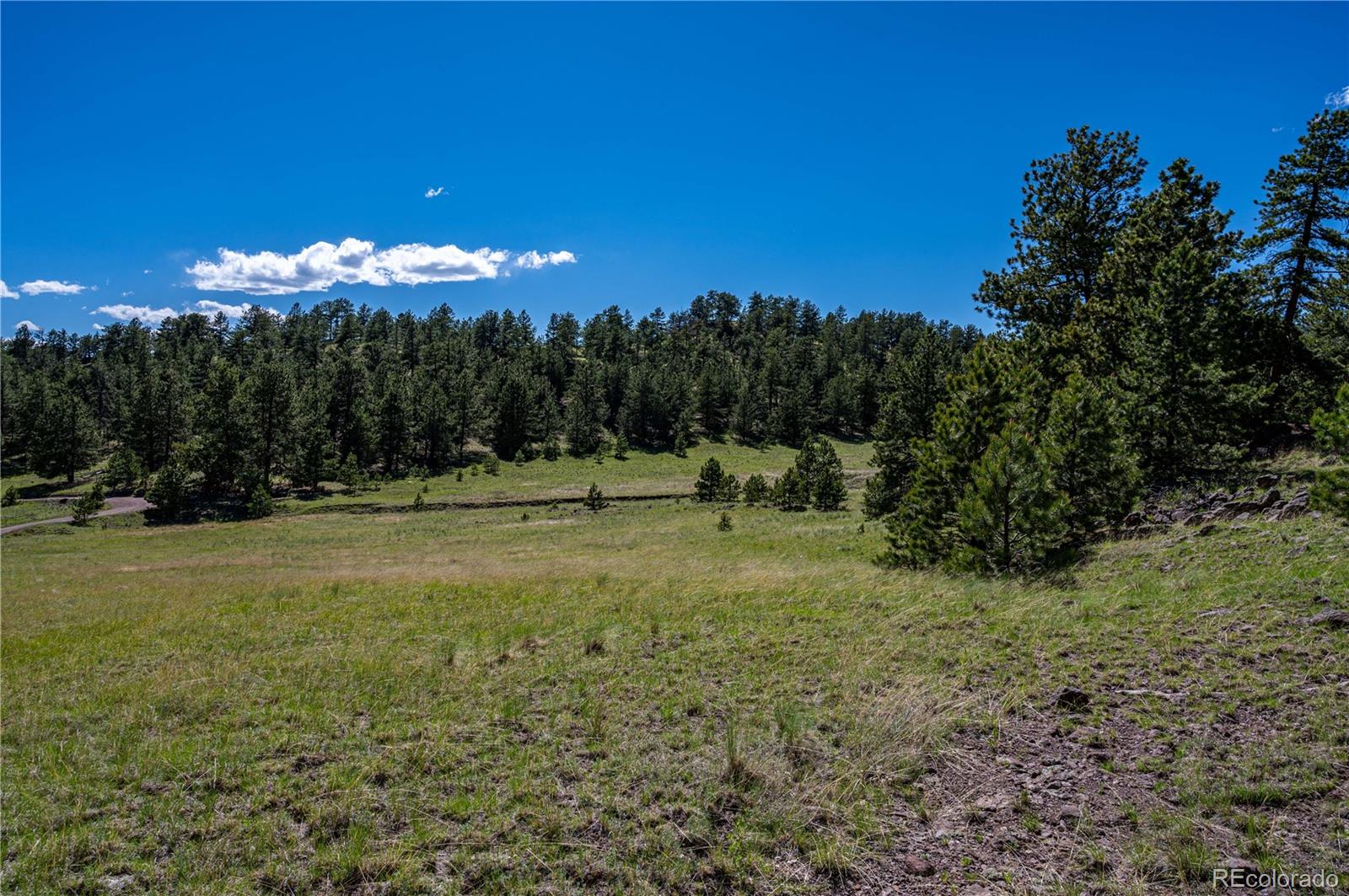 2099 Julia Road Guffey, CO 80820 - Photo 21 of 35 a view of a golf course with a trees
