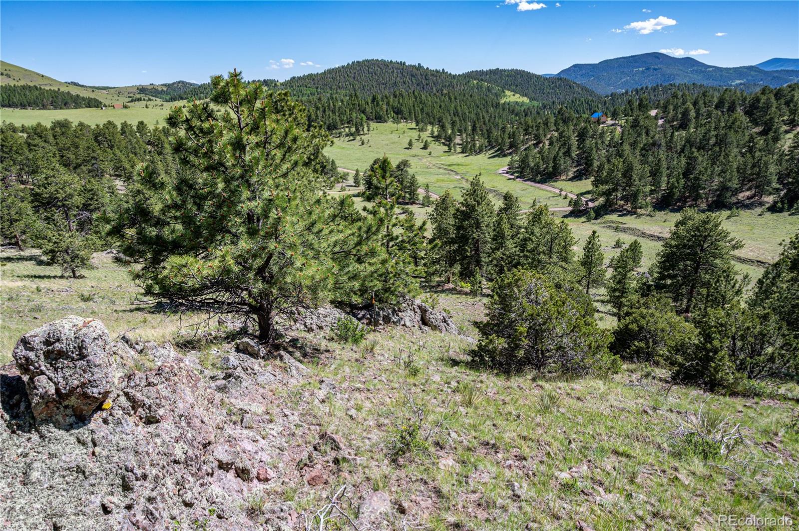 2099 Julia Road Guffey, CO 80820 - Photo 30 of 35 a view of a yard with a tree