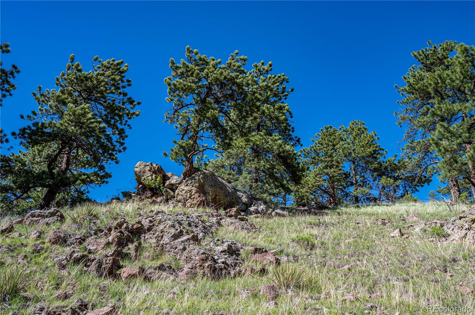 2099 Julia Road Guffey, CO 80820 - Photo 31 of 35 a view of a garden