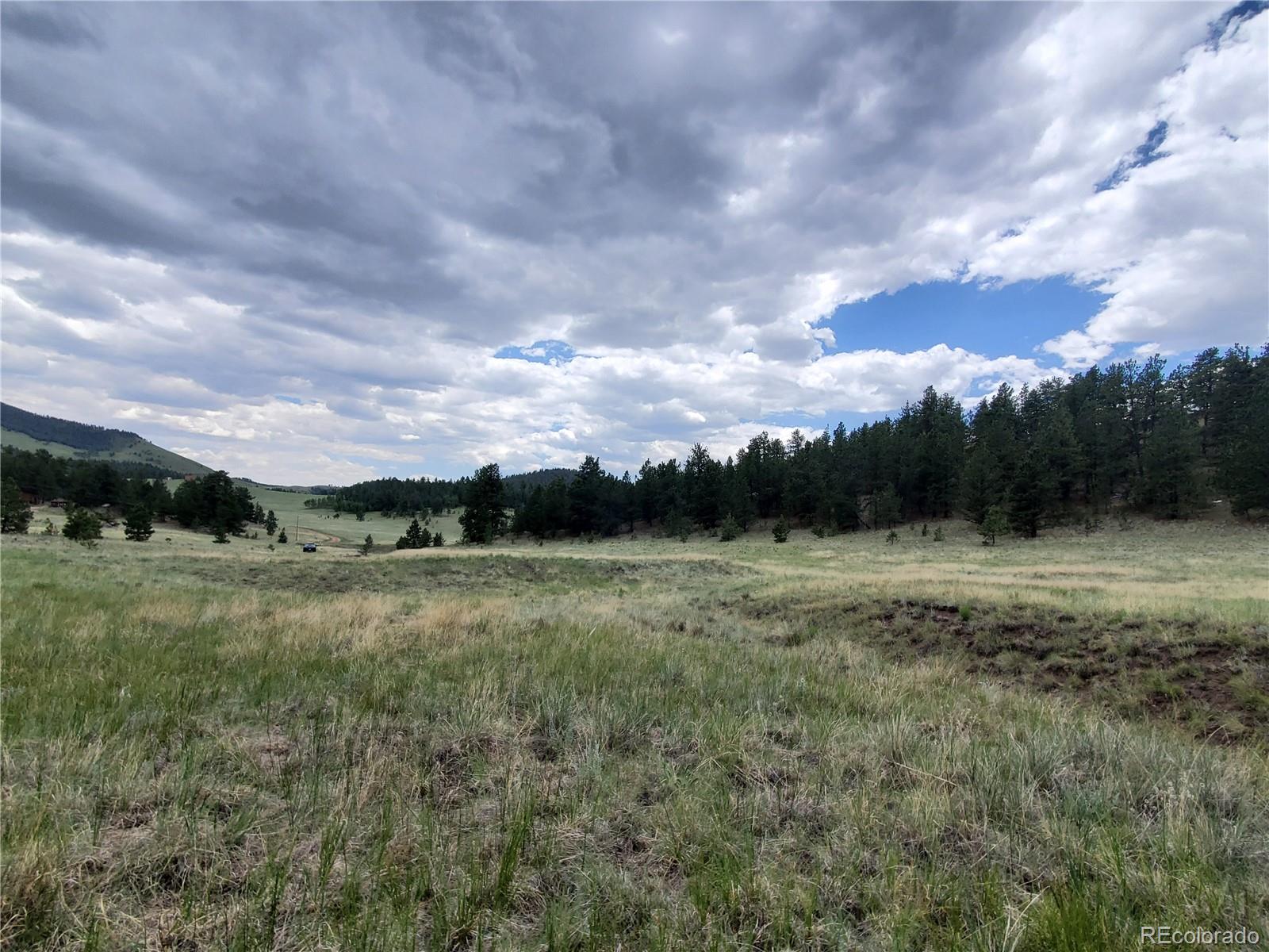2099 Julia Road Guffey, CO 80820 - Photo 32 of 35 a view of outdoor space and yard