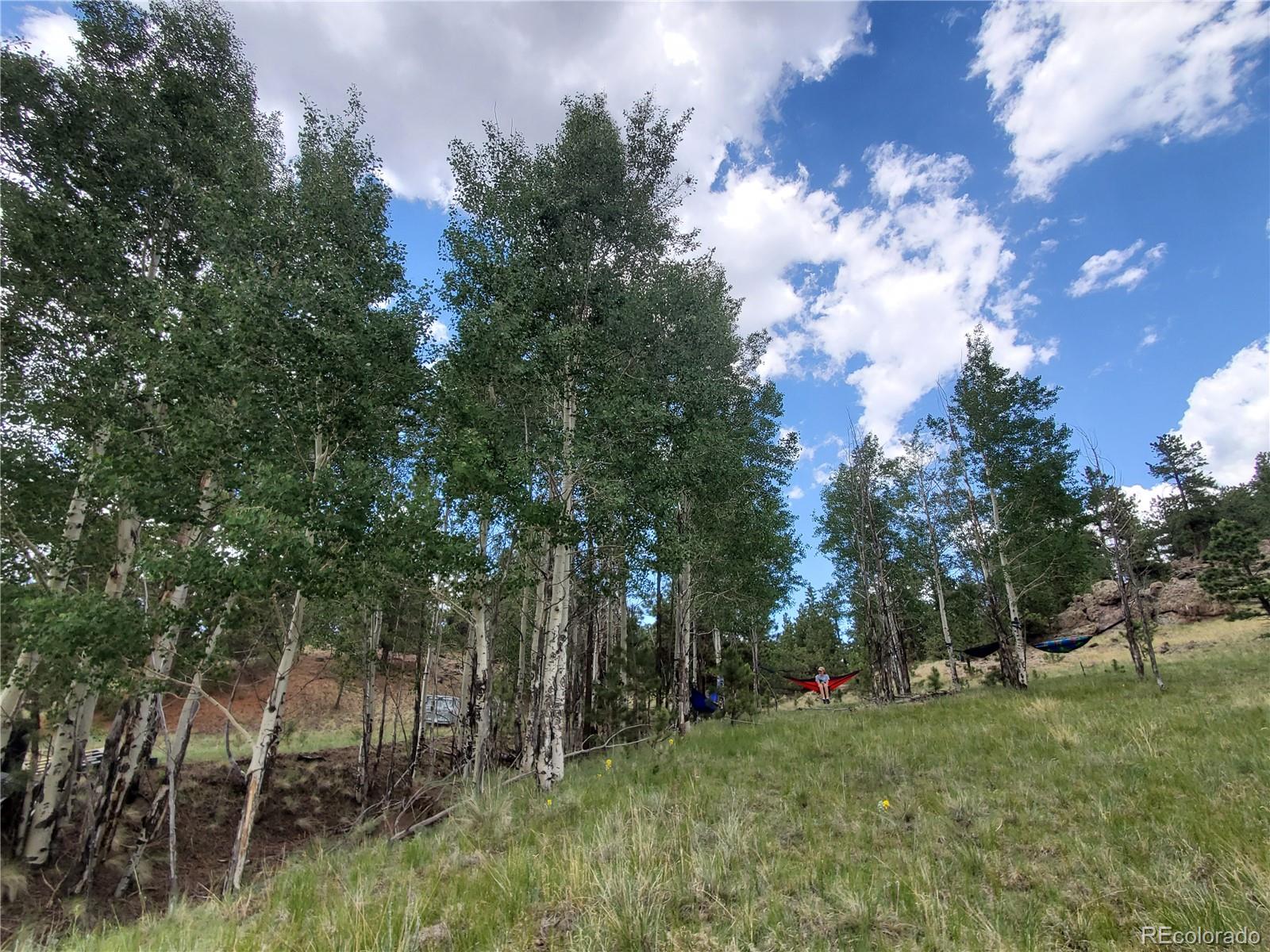 2099 Julia Road Guffey, CO 80820 - Photo 33 of 35 a view of a trees with a yard