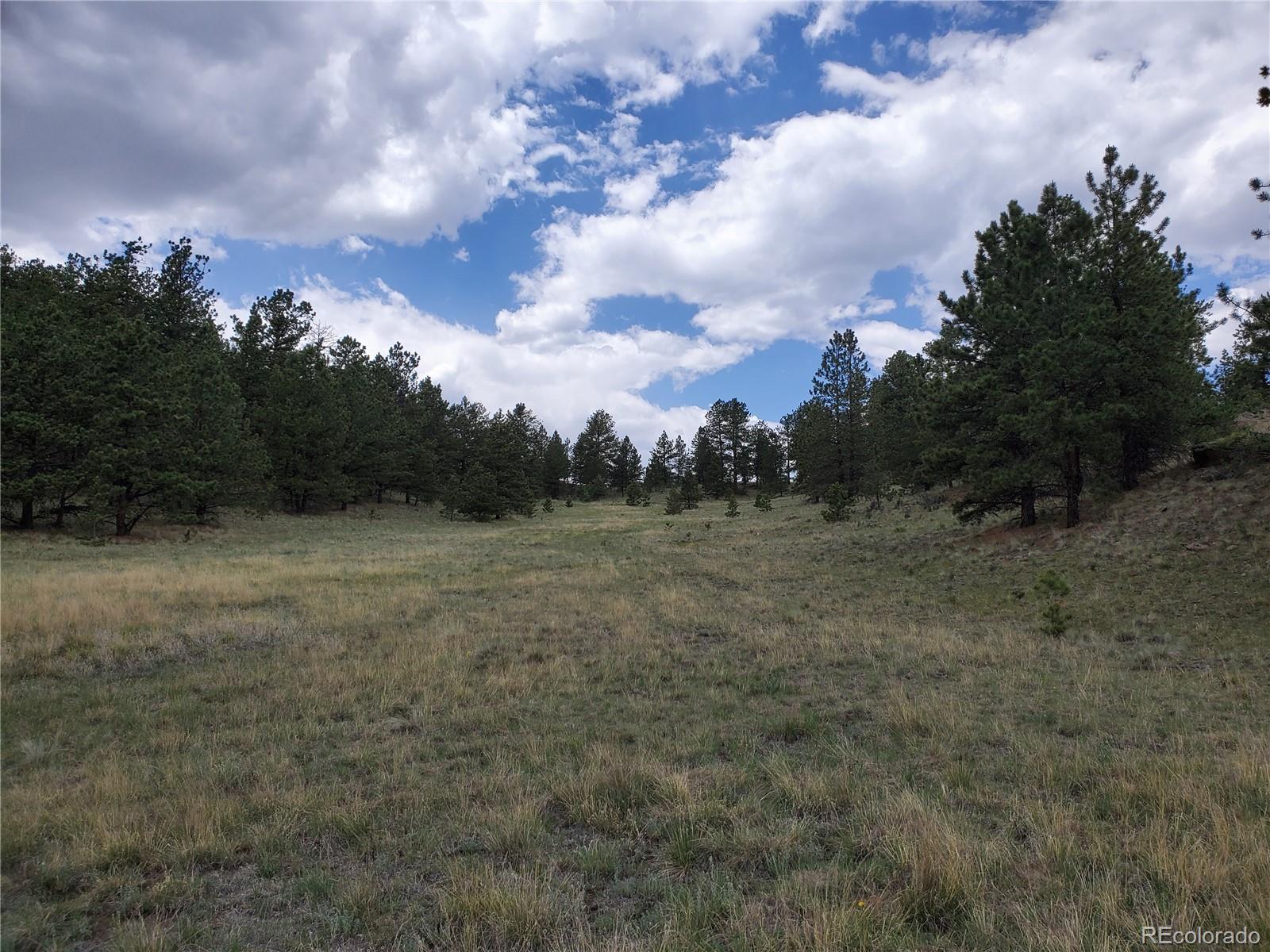 2099 Julia Road Guffey, CO 80820 - Photo 34 of 35 a view of a field