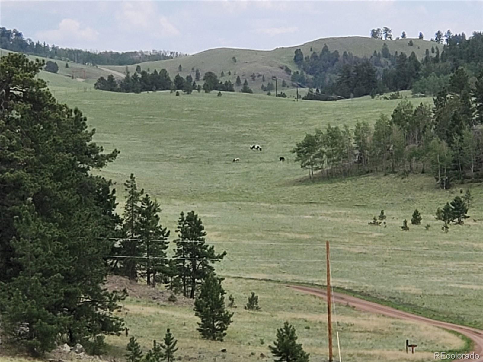 2099 Julia Road Guffey, CO 80820 - Photo 4 of 35 a view of lake