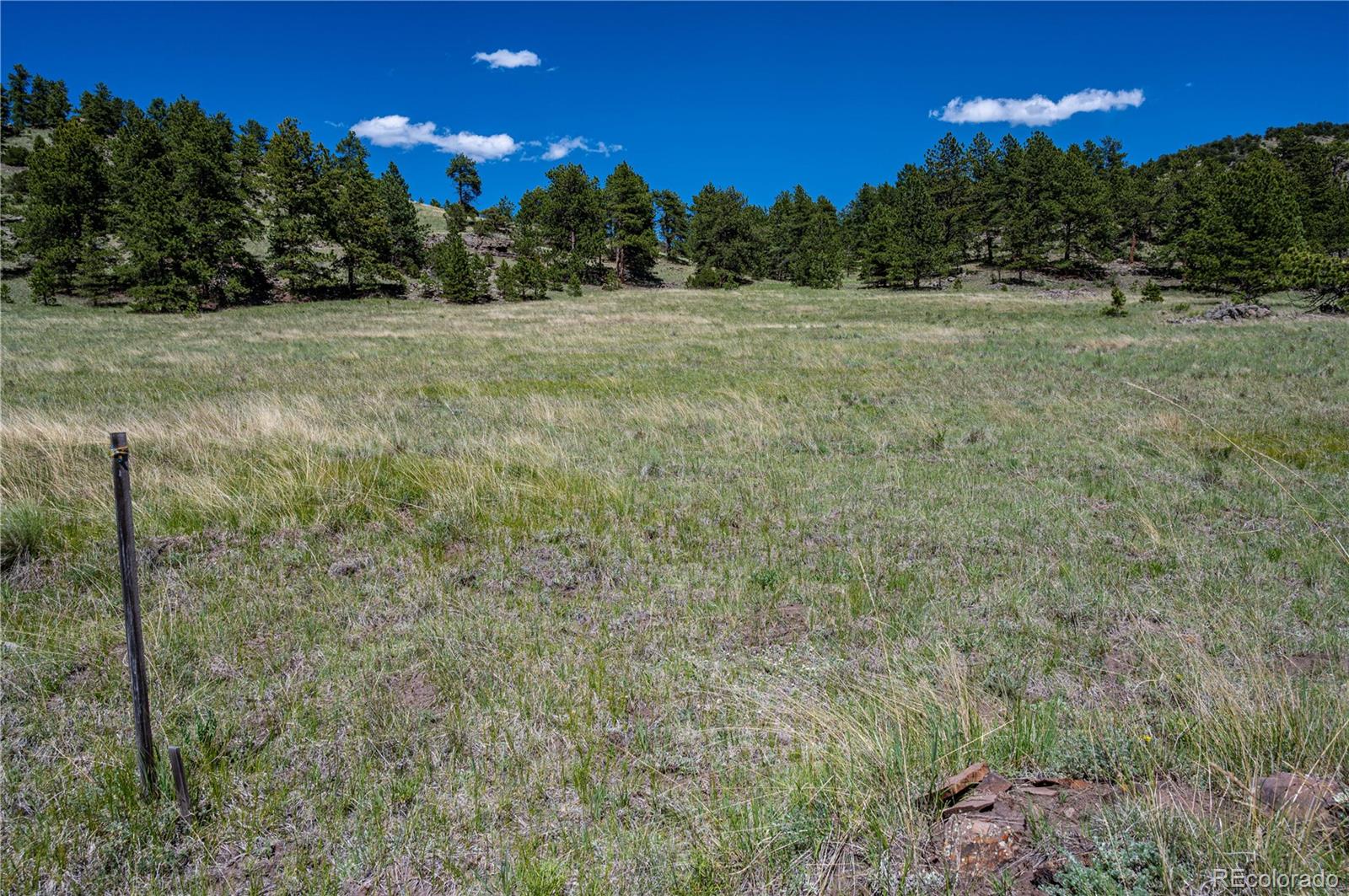2099 Julia Road Guffey, CO 80820 - Photo 8 of 35 a view of an outdoor space and a yard