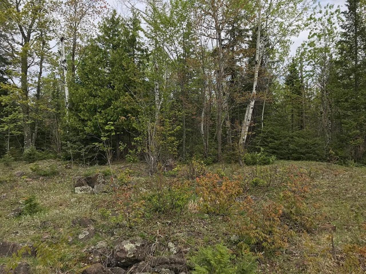 Tbd Valley Road Hurley, WI 54534 - Photo 21 of 36 Gallery Image 21