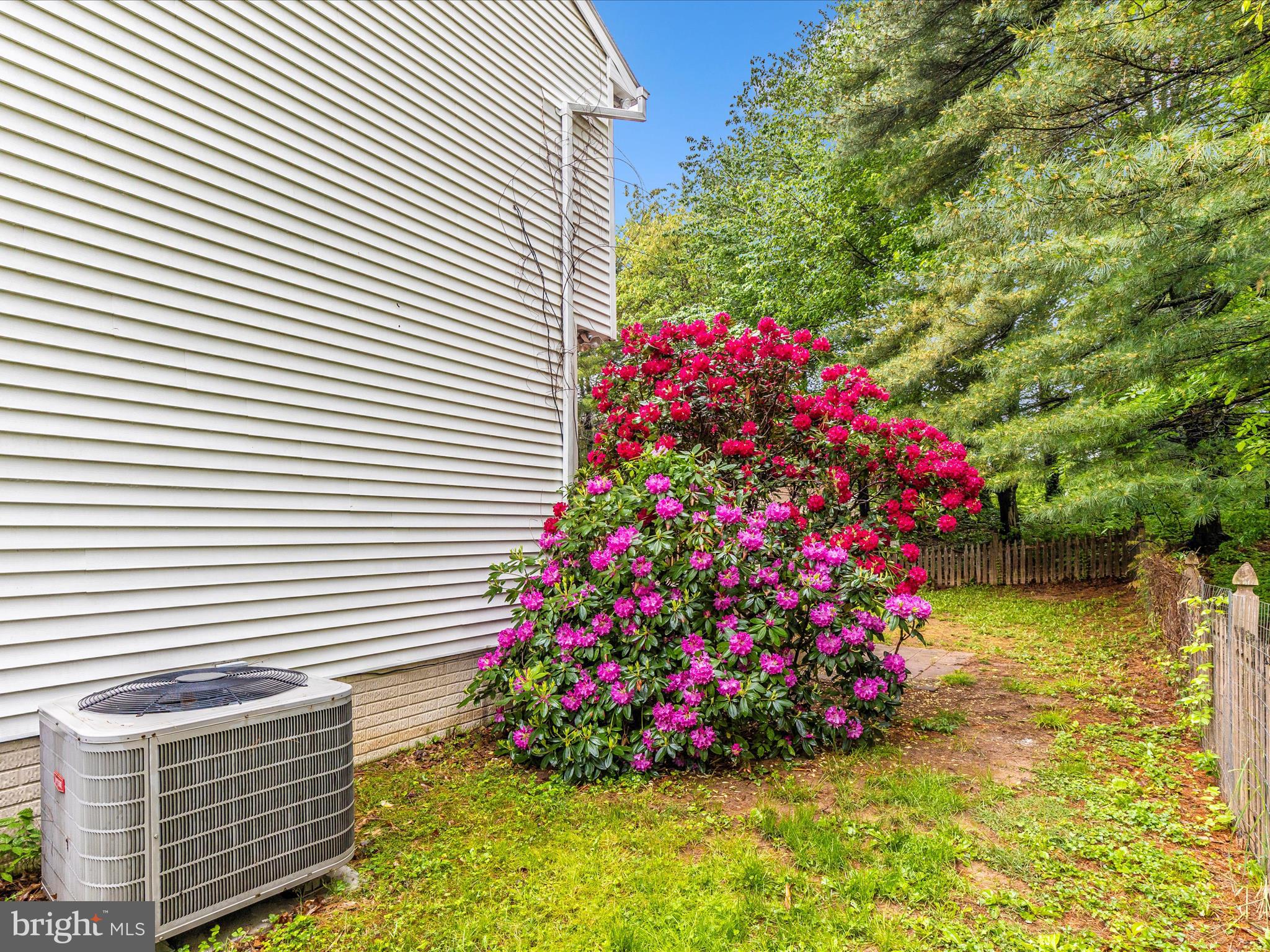 402 Windy Knoll Drive Mount Airy, MD 21771 - Photo 48 of 51 a view of a flower in a garden