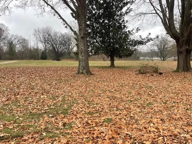 5885 Ramsey Road Millington, TN 38053 - Photo 2 of 11 a view of a yard with a tree