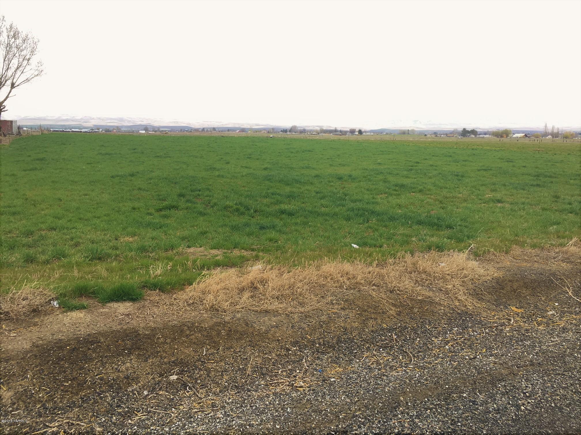 641 Lester Road Sunnyside, WA 98944 - Photo 1 of 2 a view of a field with an trees