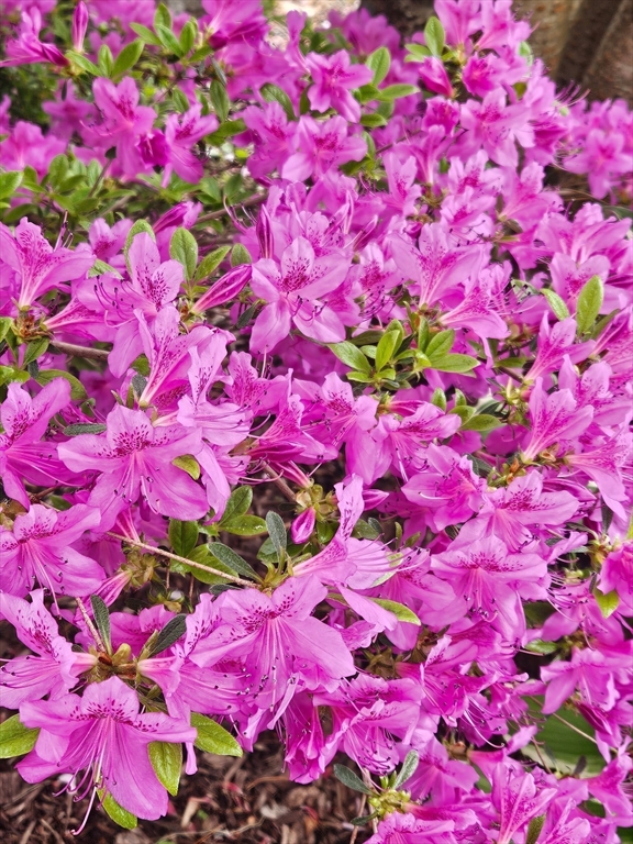 117 Draper Road East Brookfield, MA 01515 - Photo 23 of 27