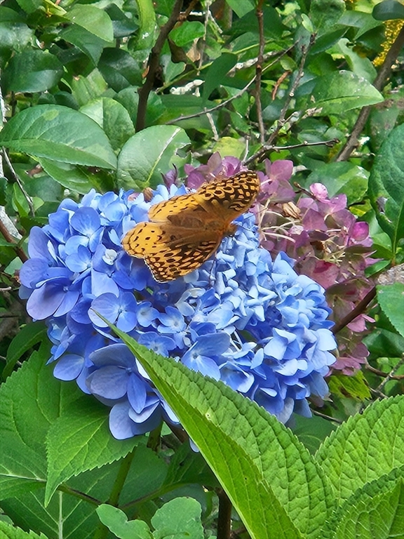 117 Draper Road East Brookfield, MA 01515 - Photo 26 of 27