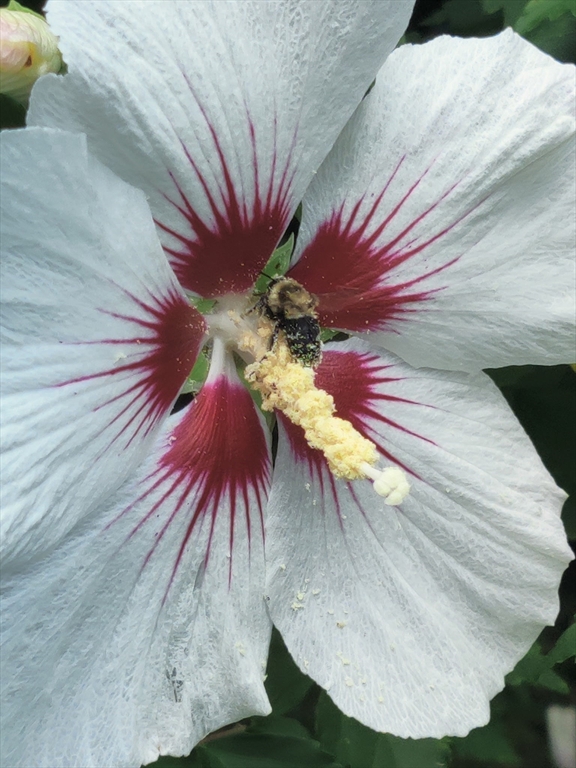 117 Draper Road East Brookfield, MA 01515 - Photo 27 of 27 a view of a house with a backyard