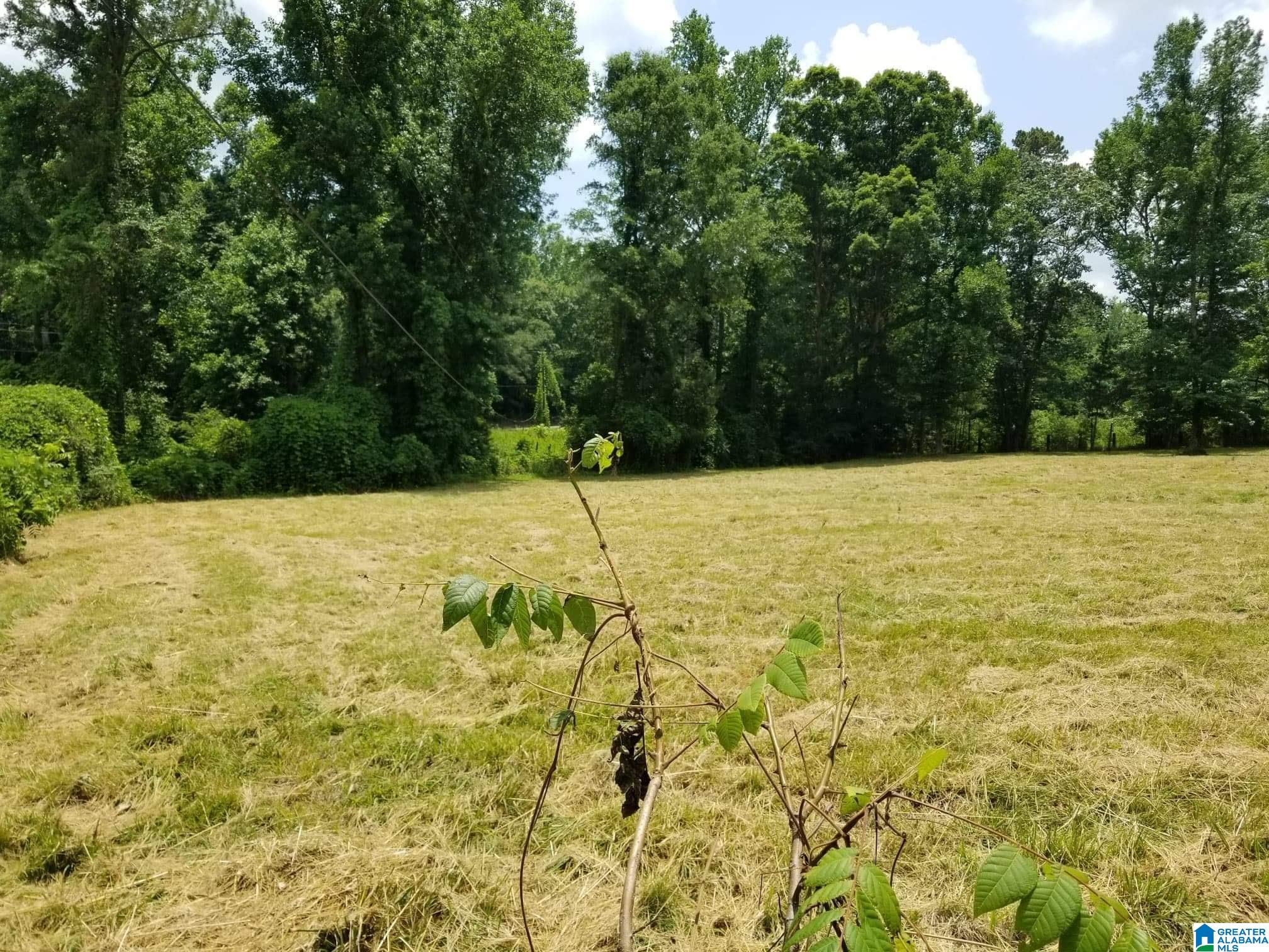 Honeycutt Road Remlap, AL 35133 - Photo 17 of 24