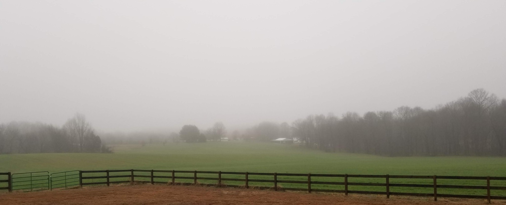 150 Parker Road Portland, TN 37148 - Photo 14 of 15 Gallery Image 14