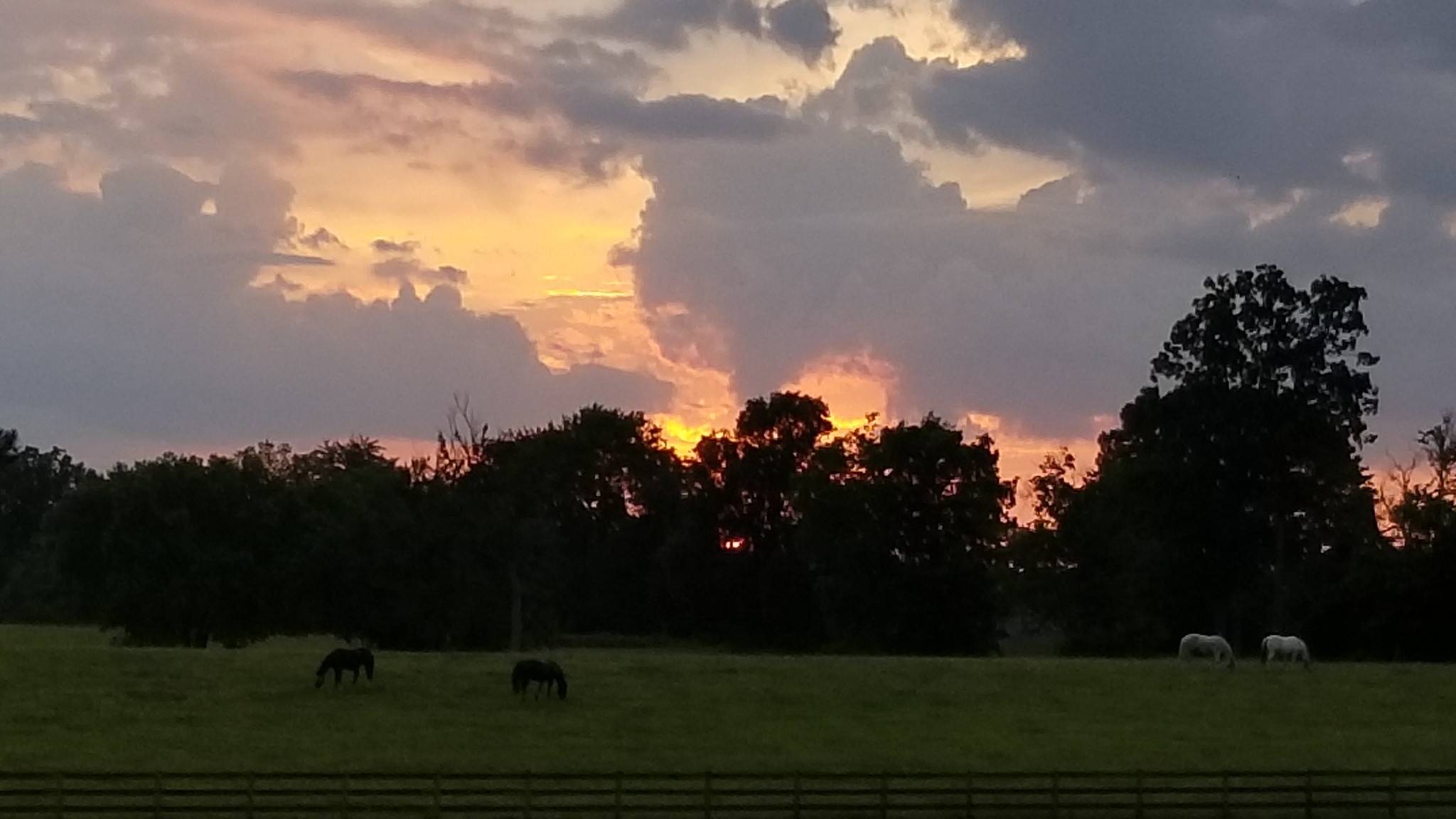 150 Parker Road Portland, TN 37148 - Photo 15 of 15 Gallery Image 15
