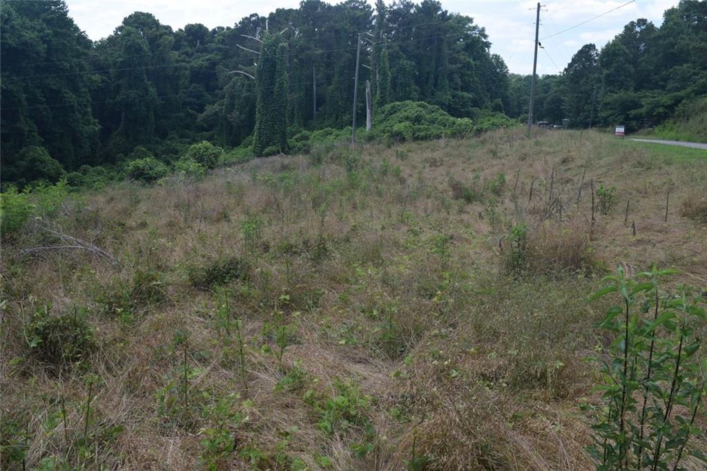 792 Lower Dowda Mill Road Jasper, GA 30143 - Photo 22 of 35