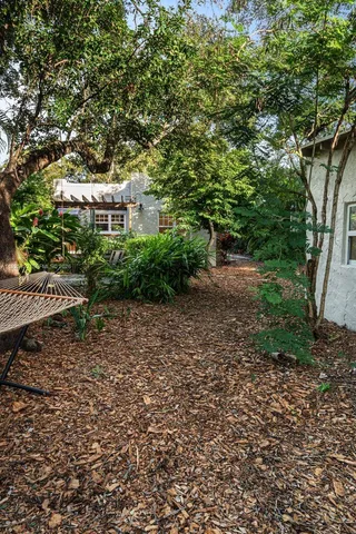 a view of a large yard with plants and large trees