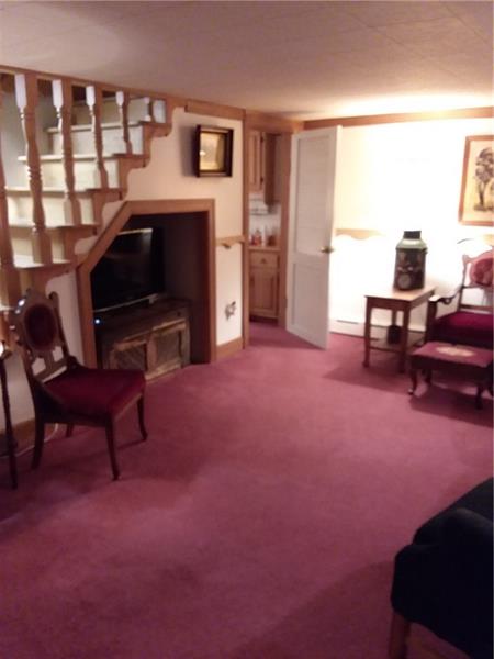 41 Clarion Road Cherry Tree, PA 15724 - Photo 18 of 22 Basement Family Room