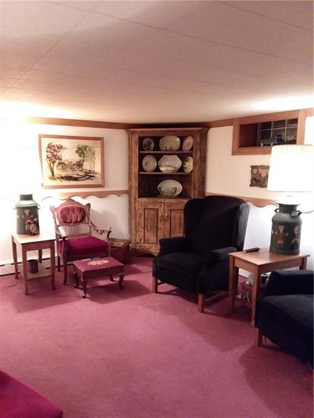 41 Clarion Road Cherry Tree, PA 15724 - Photo 19 of 22 Basement Family Room