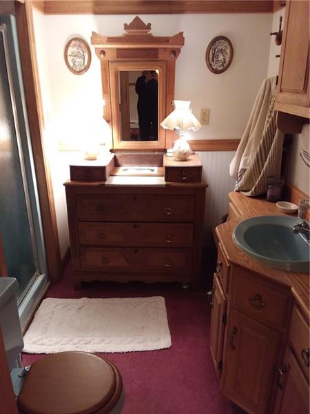 41 Clarion Road Cherry Tree, PA 15724 - Photo 20 of 22 Basement Bath