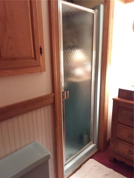 41 Clarion Road Cherry Tree, PA 15724 - Photo 21 of 22 Basement Bath