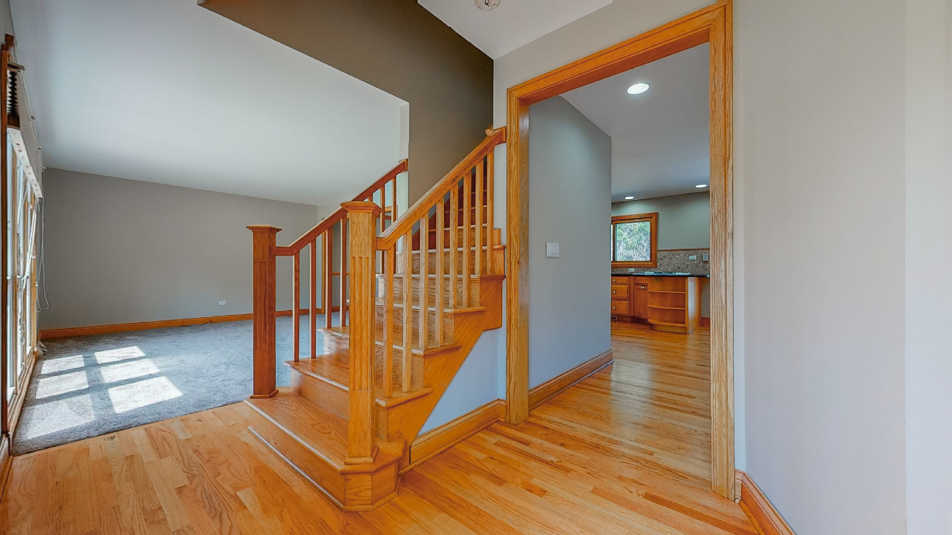 925 East Bailey Road Naperville, IL 60565 - Photo 3 of 36