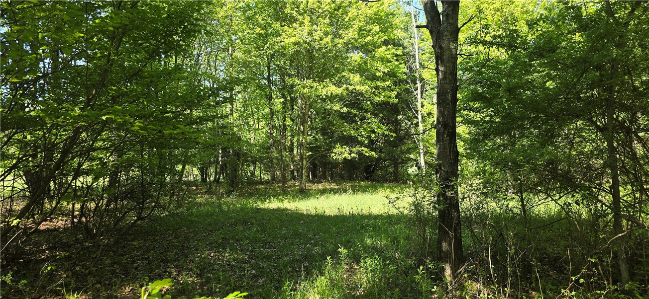 324 Murphy Hill Road Catlin, NY 14845 - Photo 22 of 47