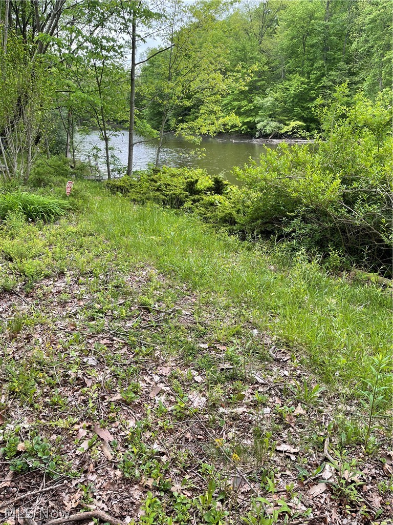 18081 Mill Road Berlin Center, OH 44401 - Photo 2 of 2 Gallery Image 2