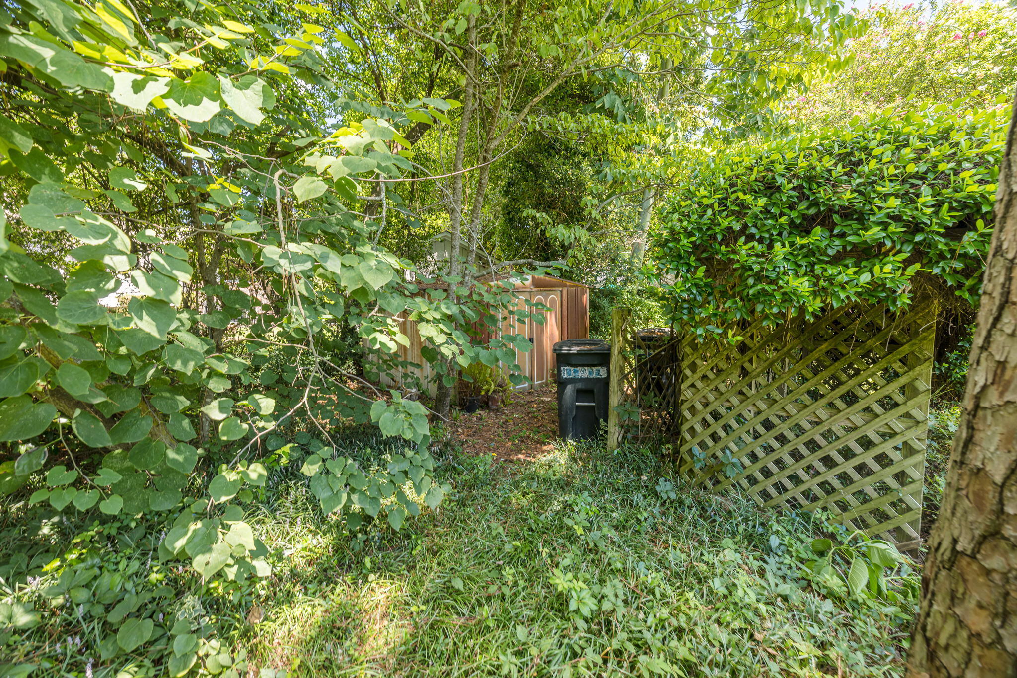 603 Aumond Road Augusta, GA 30909 - Photo 46 of 47 49-web-or-mls-SBP_1631