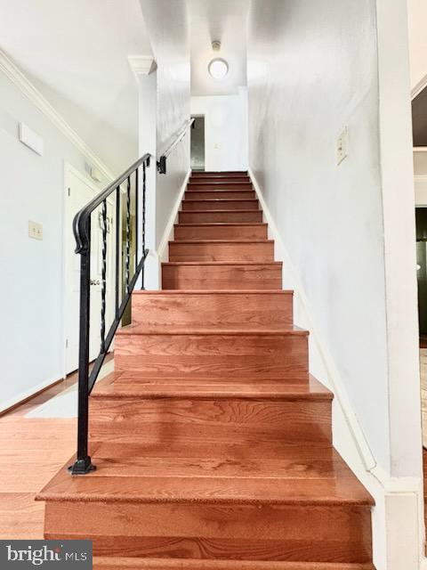5218 Kenstan Drive Temple Hills, MD 20748 - Photo 20 of 28 Stairs to Lower Level