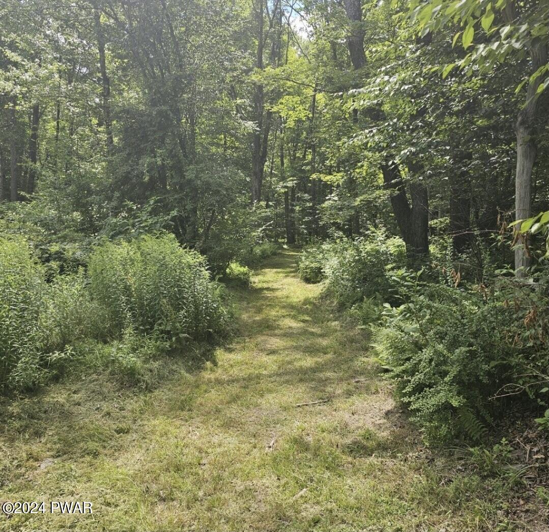 39 Boyds Mills Road Beach Lake, PA 18405 - Photo 42 of 44 Trails & Paths