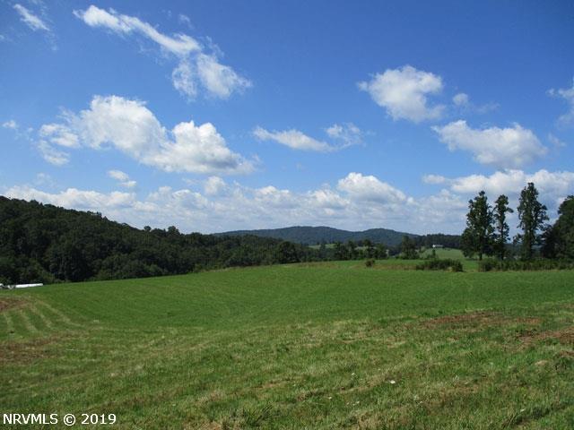 0 Buffalo Mountain Road Southwest Meadows Of Dan, VA 24120 - Photo 8 of 22 Gallery Image 8