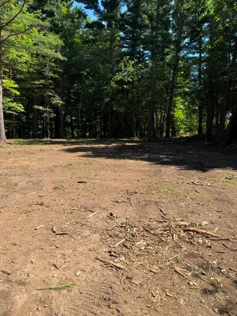 Lot 3 3/4 Street Chetek, WI 54728 - Photo 2 of 7 Gallery Image 2