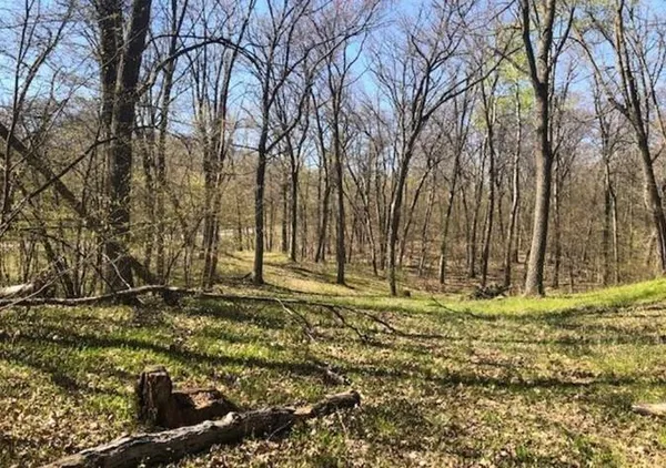 $42,500 | Tbd Hidden Oaks Drive Northwest, Alexandria, MN 56308