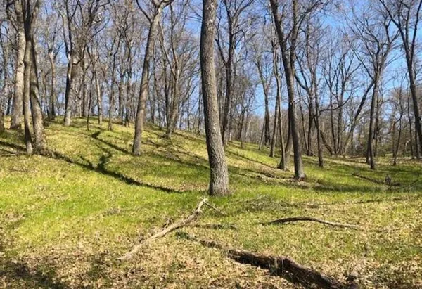 $42,500 | Tbd Hidden Oaks Drive Northwest, Alexandria, MN 56308