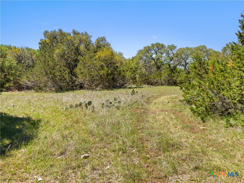 1510 Misty Lane Spring Branch, TX 78070 - Photo 3 of 16 Gallery Image 3