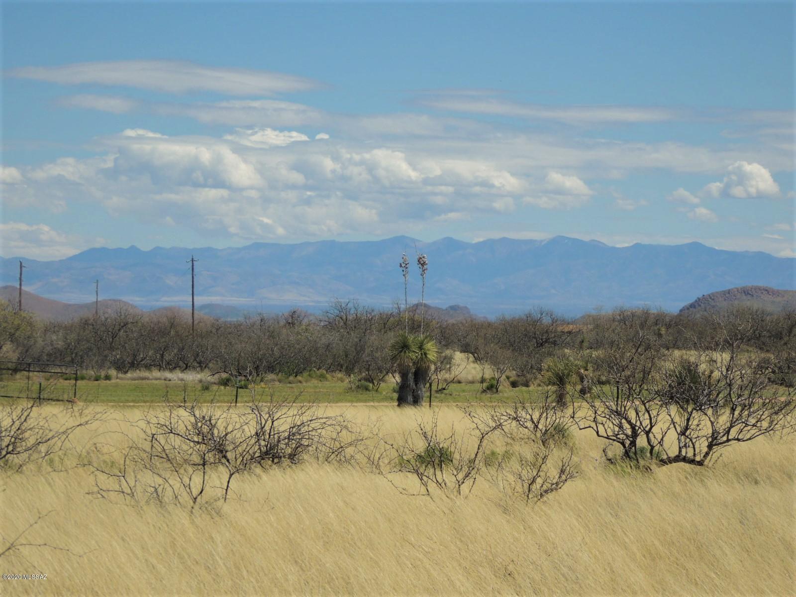 Tbd West Pearce Road, Unit 2 Pearce, AZ 85625 - Photo 16 of 19