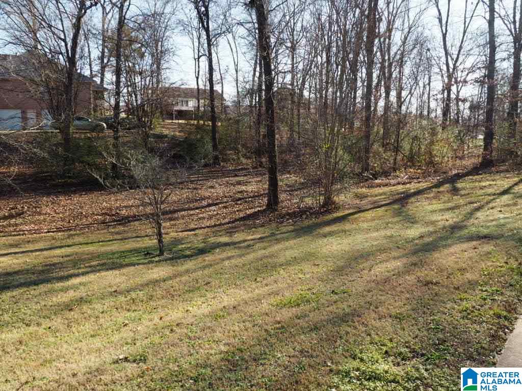 4100 Red Rock Way Pleasant Grove, AL 35127 - Photo 22 of 23