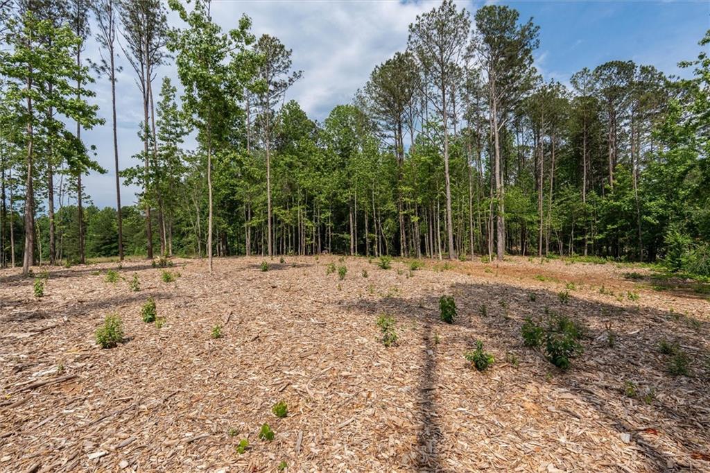 3 Pope Road Buchanan, GA 30113 - Photo 16 of 18 a view of outdoor space with trees