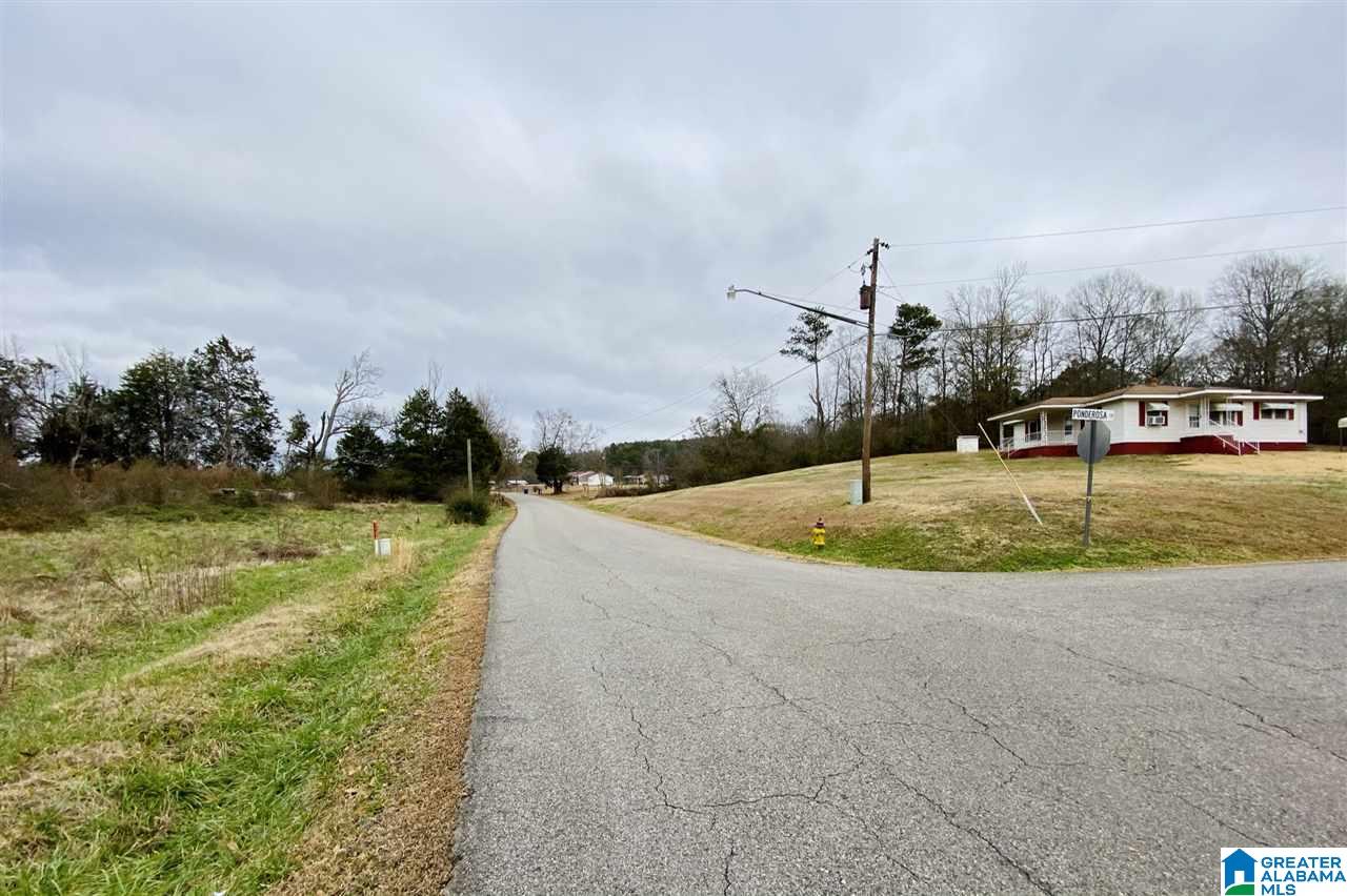 650 Peaceful Valley Road, Unit 98 AC Eastaboga, AL 36260 - Photo 2 of 10