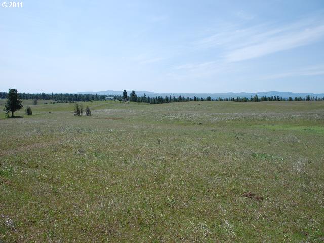 Thompson Road, Unit 8 Goldendale, WA 98620 - Photo 3 of 7 Gallery Image 3