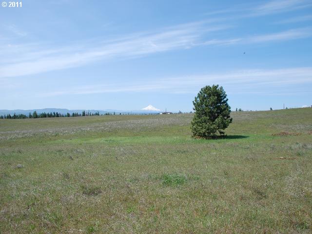 Thompson Road, Unit 8 Goldendale, WA 98620 - Photo 4 of 7 Gallery Image 4