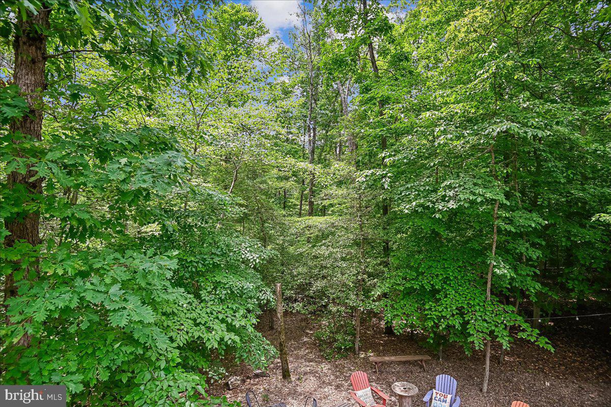 1457 Gilbert Road Arnold, MD 21012 - Photo 46 of 82 Backyard