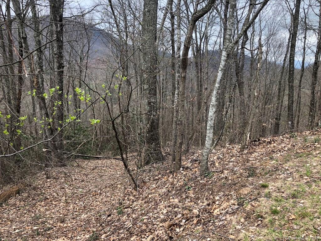 Lot 124 Ramp Patch Lane Waynesville, NC 28786 - Photo 1 of 18 Gallery Image 1