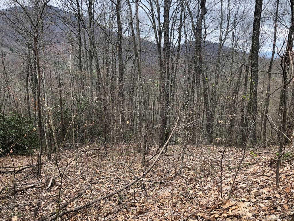 Lot 124 Ramp Patch Lane Waynesville, NC 28786 - Photo 2 of 18 Gallery Image 2