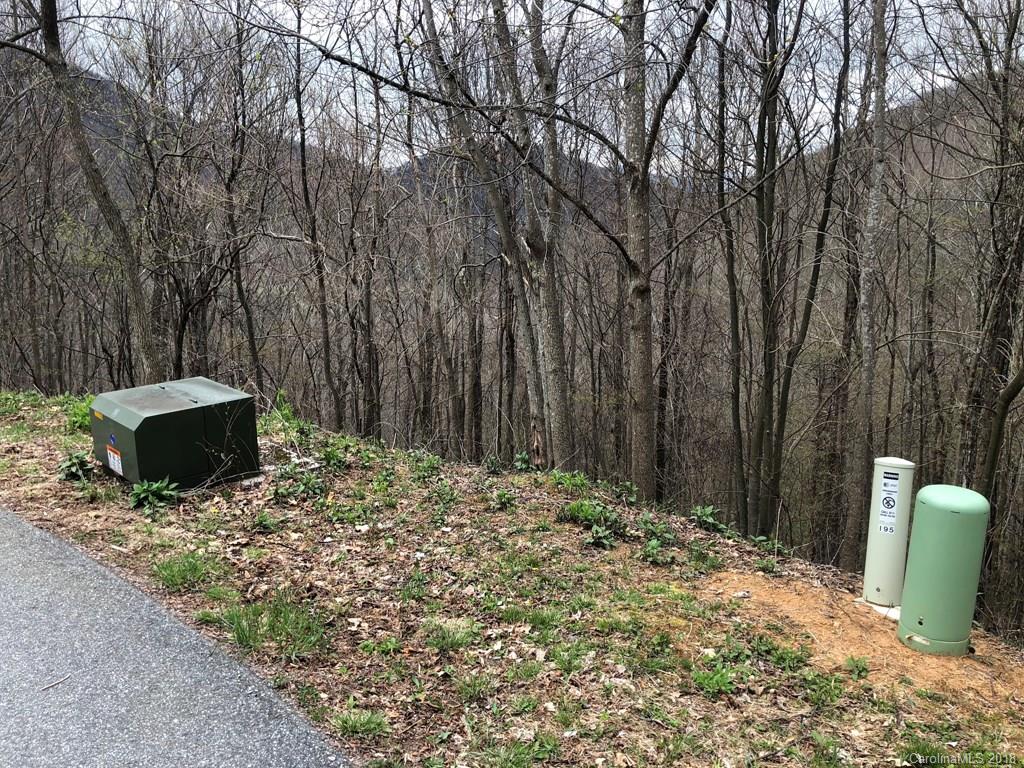 Lot 124 Ramp Patch Lane Waynesville, NC 28786 - Photo 11 of 18 Gallery Image 11