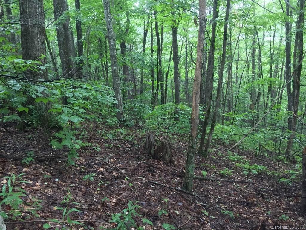 Lot 124 Ramp Patch Lane Waynesville, NC 28786 - Photo 16 of 18 Gallery Image 16