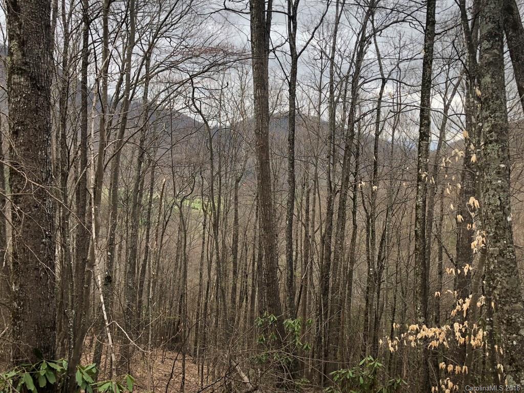 Lot 124 Ramp Patch Lane Waynesville, NC 28786 - Photo 3 of 18 Gallery Image 3