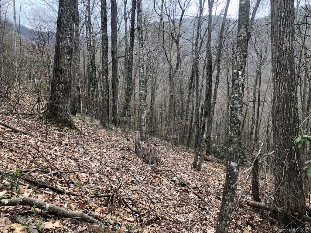 Lot 124 Ramp Patch Lane Waynesville, NC 28786 - Photo 4 of 18 Gallery Image 4
