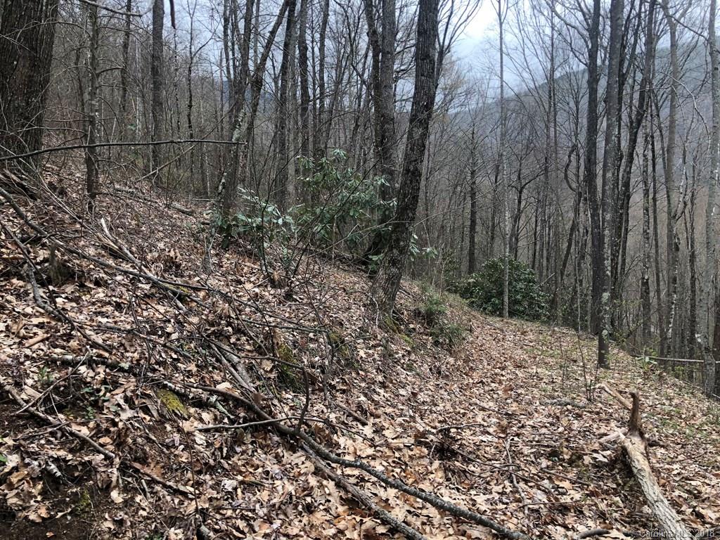 Lot 124 Ramp Patch Lane Waynesville, NC 28786 - Photo 5 of 18 Gallery Image 5